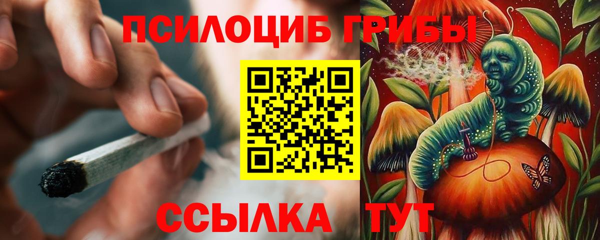 Россия  продажа наркотиков  Галлюциногенные грибы Psilocybe  Вход с VPN  Псилоцибиновые грибы ЛСД 